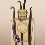 Burberry Goddess EDP 100ml | Women's Luxury Perfume